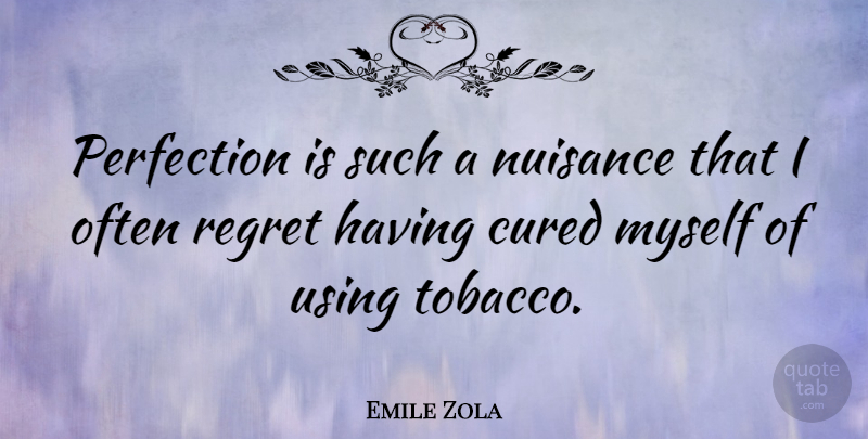 Emile Zola Quote About Regret, Perfection, Smoking: Perfection Is Such A Nuisance...