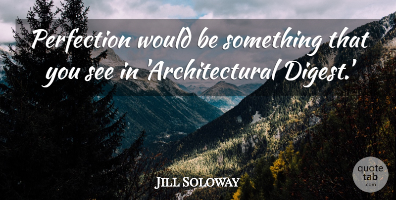 Jill Soloway Quote About undefined: Perfection Would Be Something That...