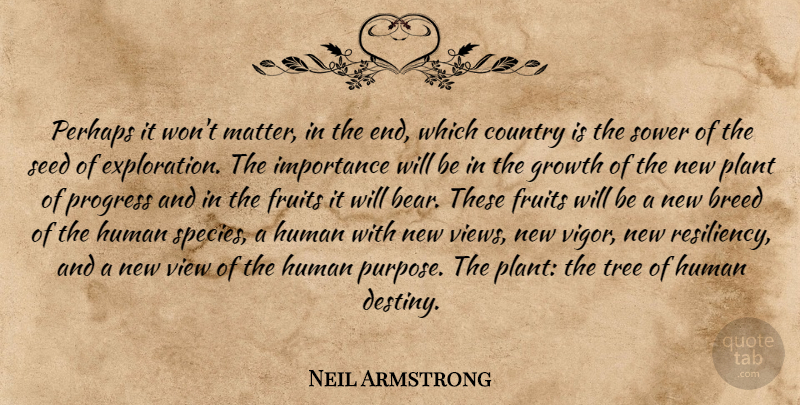 Neil Armstrong Quote About Country, Destiny, Views: Perhaps It Wont Matter In...