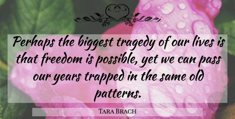 Tara Brach Quote About Dream, Years, Tragedy: Perhaps The Biggest Tragedy Of...