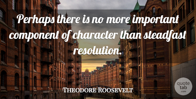 Theodore Roosevelt Quote About Character, Important, Resolution: Perhaps There Is No More...