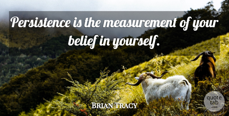 Brian Tracy Quote About Persistence, Measurement, Belief: Persistence Is The Measurement Of...