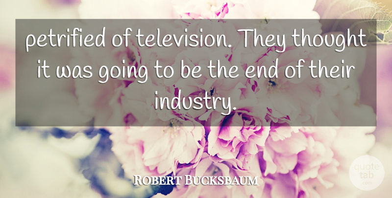Robert Bucksbaum Quote About Petrified: Petrified Of Television They Thought...