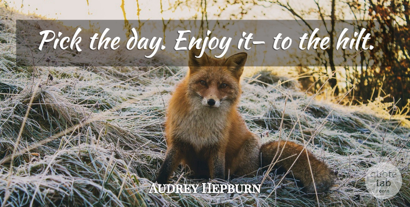 Audrey Hepburn Quote About Past, Enjoy, Spoil: Pick The Day Enjoy It...
