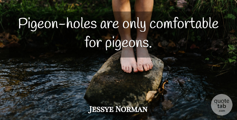Jessye Norman Quote About Pigeons, Holes, Comfortable: Pigeon Holes Are Only Comfortable...
