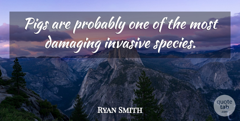 Ryan Smith Quote About Damaging, Pigs: Pigs Are Probably One Of...