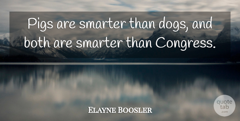 Elayne Boosler Quote About Dog, Pigs, Congress: Pigs Are Smarter Than Dogs...