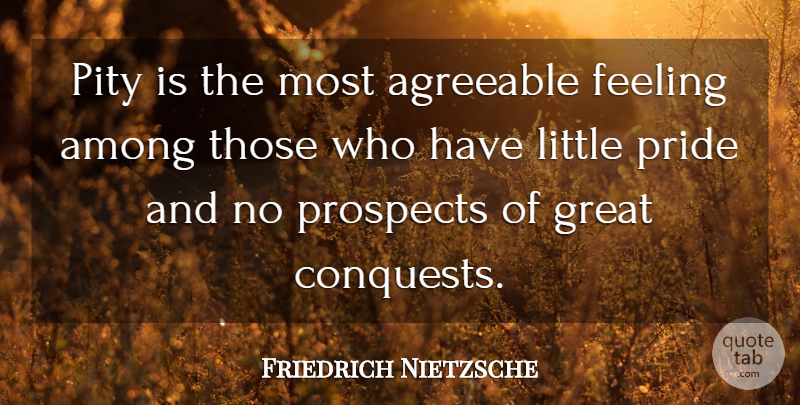Friedrich Nietzsche Quote About Pride, Feelings, Littles: Pity Is The Most Agreeable...