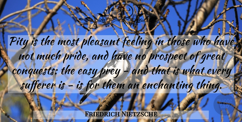 Friedrich Nietzsche Quote About Pain, Pride, Feelings: Pity Is The Most Pleasant...