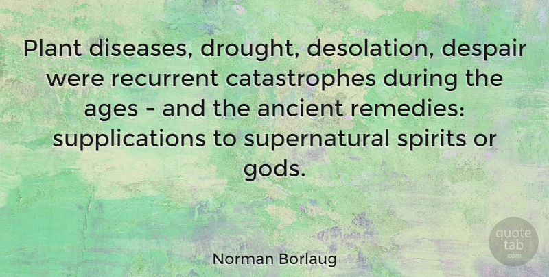 Norman Borlaug Quote About Despair, Age, Disease: Plant Diseases Drought Desolation Despair...