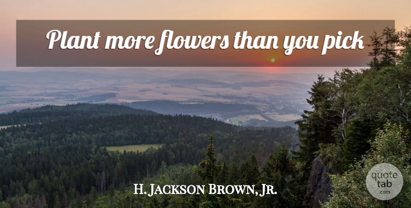 H. Jackson Brown, Jr. Quote About Life Lesson, Flower, Plant: Plant More Flowers Than You...