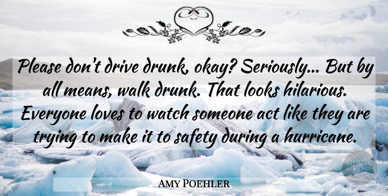 Amy Poehler Quote About Mean, Safety, Drunk: Please Dont Drive Drunk Okay...