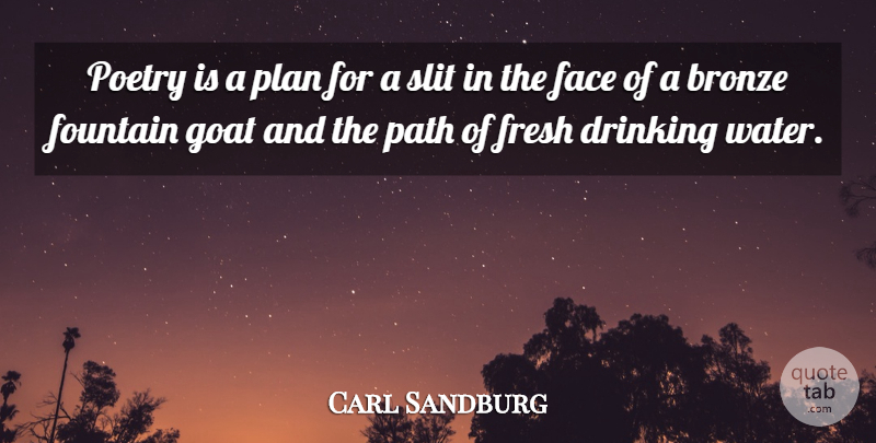 Carl Sandburg Quote About Drinking, Water, Goats: Poetry Is A Plan For...