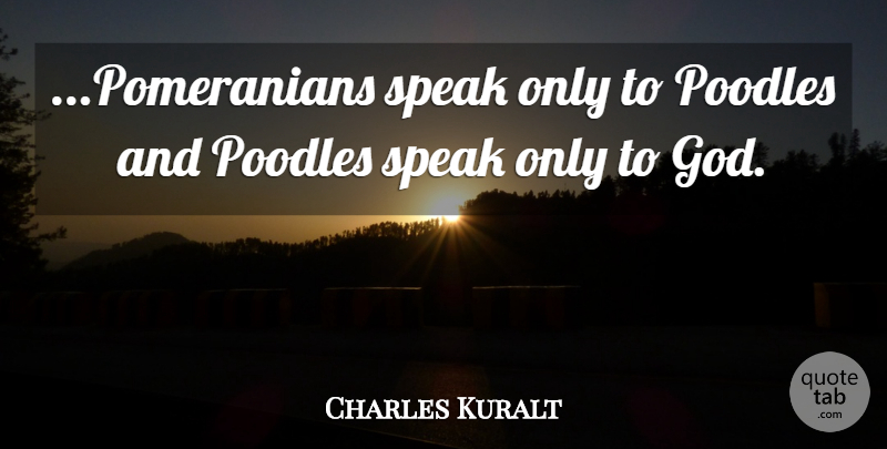Charles Kuralt Quote About Dog, Pomeranians, Poodles: Pomeranians Speak Only To Poodles...