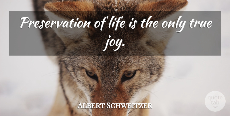 Albert Schweitzer Quote About True Joy, Preservation Of Life, Life Is: Preservation Of Life Is The...