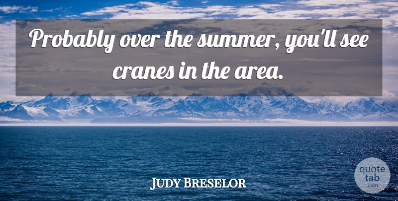 Judy Breselor Quote About undefined: Probably Over The Summer Youll...