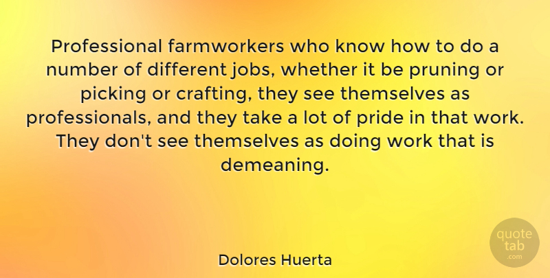 Dolores Huerta Quote About Number, Picking, Themselves, Whether, Work: Professional Farmworkers Who Know How...