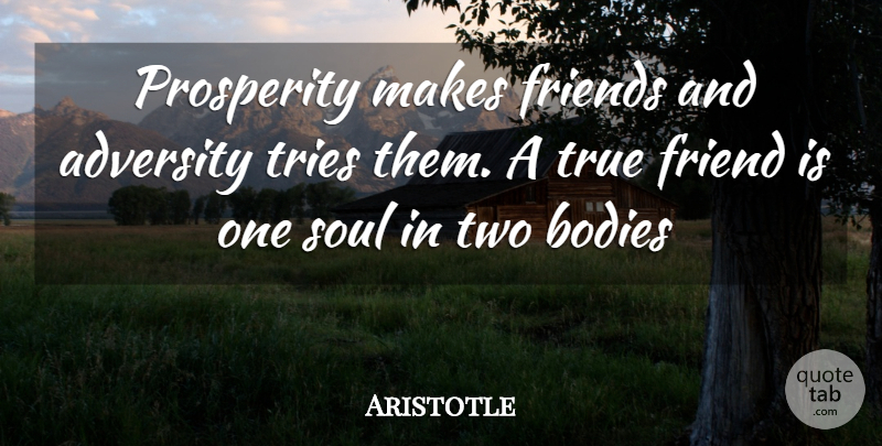 Aristotle Quote About True Friend, Inspiration, Adversity: Prosperity Makes Friends And Adversity...