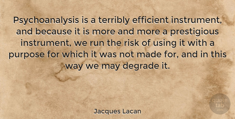 Jacques Lacan Quote About Running, Aggravation, Risk: Psychoanalysis Is A Terribly Efficient...