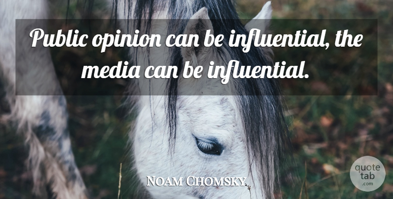 Noam Chomsky Quote About Media, Public Opinion, Opinion: Public Opinion Can Be Influential...