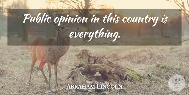 Abraham Lincoln Quote About Country, Government, Political: Public Opinion In This Country...