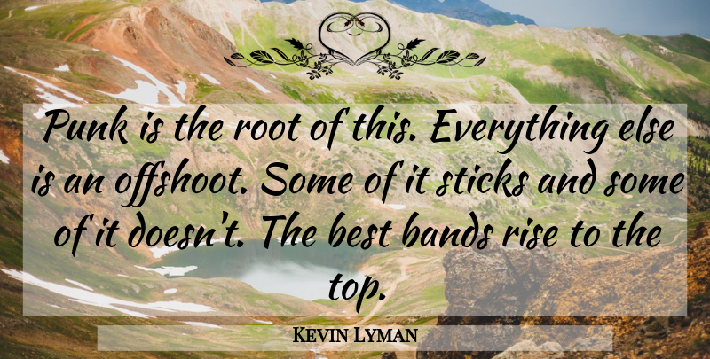 Kevin Lyman Quote About Bands, Best, Punk, Rise, Root: Punk Is The Root Of...