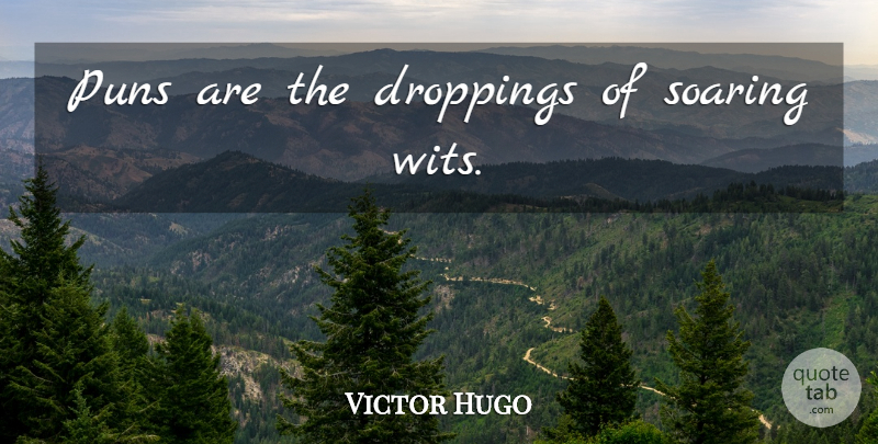 Victor Hugo Quote About Dropping, Wit, Pun: Puns Are The Droppings Of...