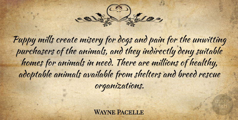Wayne Pacelle Quote About Animals, Available, Breed, Create, Deny: Puppy Mills Create Misery For...