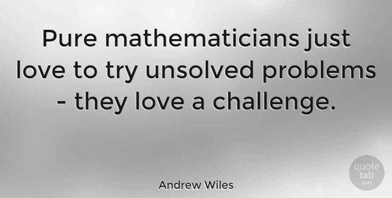 Andrew Wiles Quote About Challenges, Trying, Problem: Pure Mathematicians Just Love To...