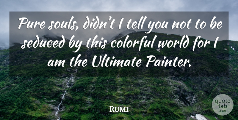 Rumi Quote About Soul, World, Painter: Pure Souls Didnt I Tell...