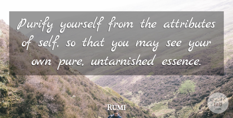 Rumi Quote About Essence, Self, Soul: Purify Yourself From The Attributes...