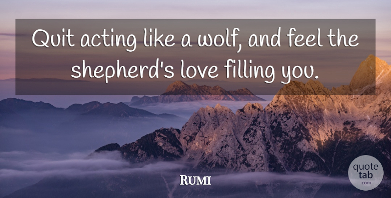 Rumi Quote About Love, Acting, Shepherds: Quit Acting Like A Wolf...