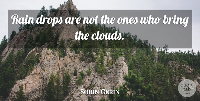 Sorin Cerin Quote About Bring, Drops, Rain: Rain Drops Are Not The...