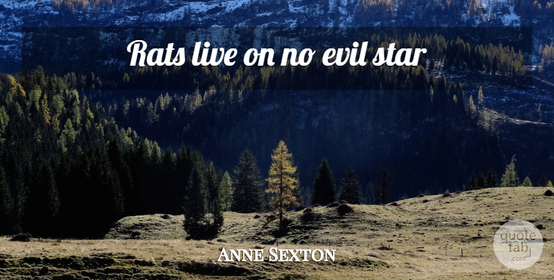 Anne Sexton Quote About Stars, Evil, Rats: Rats Live On No Evil...