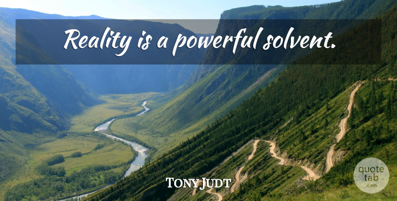 Tony Judt Quote About Powerful, Reality: Reality Is A Powerful Solvent...
