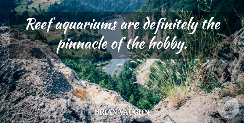 Brian K. Vaughan Quote About Aquariums, Hobbies, Pinnacle: Reef Aquariums Are Definitely The...