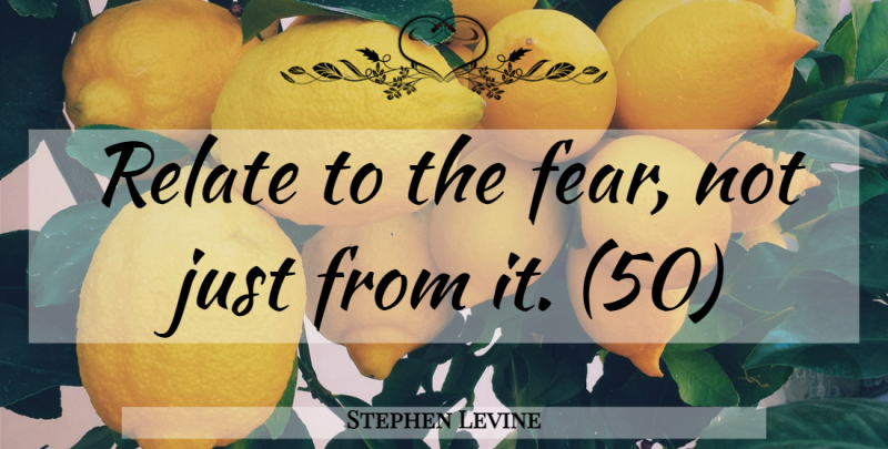 Stephen Levine Quote About Fear Not, Relate: Relate To The Fear Not...