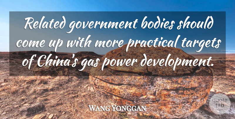 Wang Yonggan Quote About Bodies, Gas, Government, Power, Practical: Related Government Bodies Should Come...