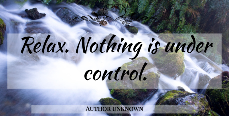 Author unknown Quote About Relax: Relax Nothing Is Under Control...
