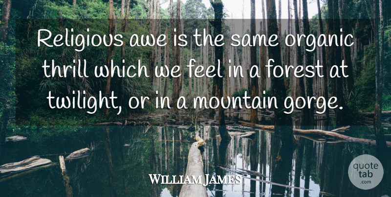 William James Quote About Religious, Twilight, Mountain: Religious Awe Is The Same...