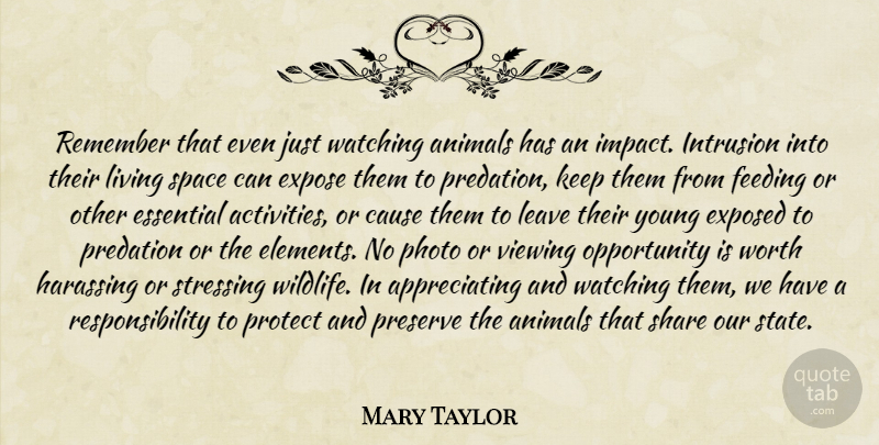 Mary Taylor Quote About Stress, Responsibility, Animal: Remember That Even Just Watching...