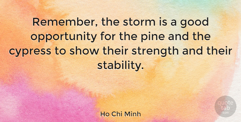 Ho Chi Minh Quote About Strength, Wisdom, Nature: Remember The Storm Is A...