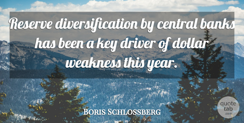 Boris Schlossberg Quote About Banks, Central, Dollar, Driver, Key: Reserve Diversification By Central Banks...