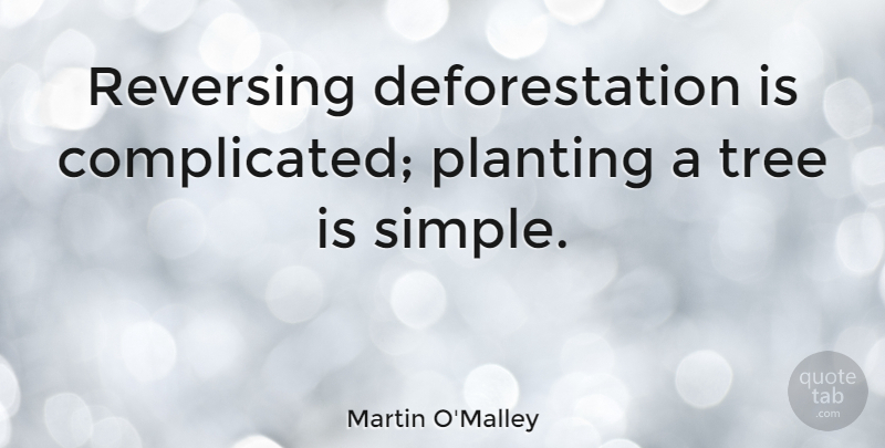 Martin O'Malley Quote About undefined: Reversing Deforestation Is Complicated Planting...