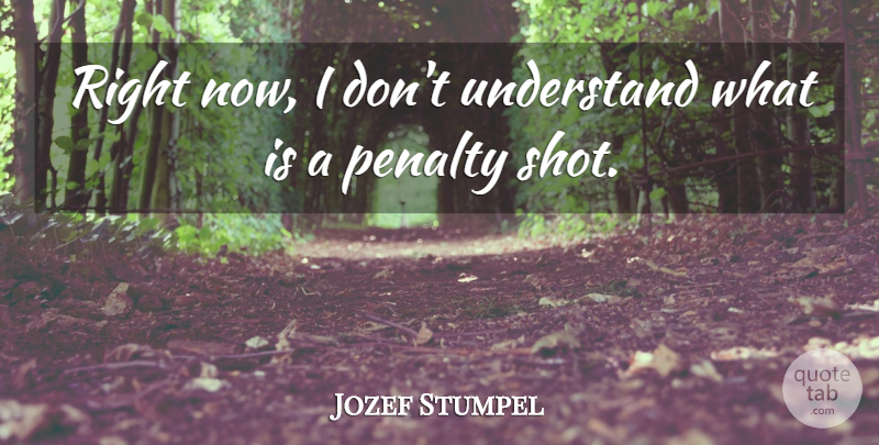 Jozef Stumpel Quote About Penalty, Understand: Right Now I Dont Understand...