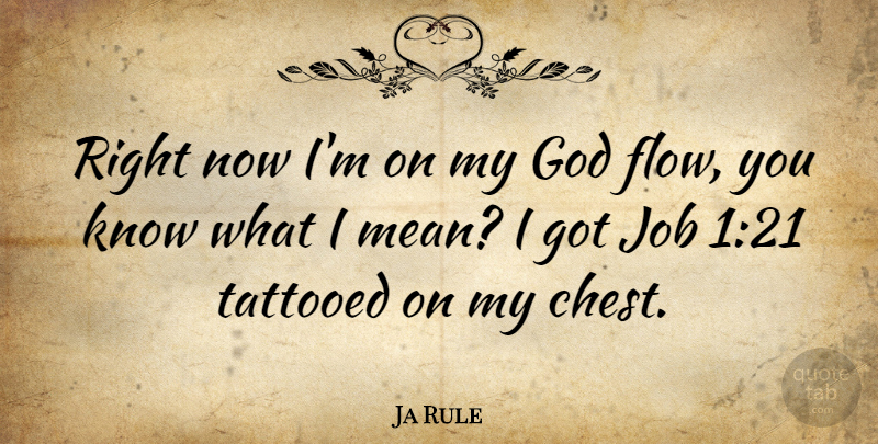 Ja Rule Quote About Jobs, Mean, Flow: Right Now Im On My...