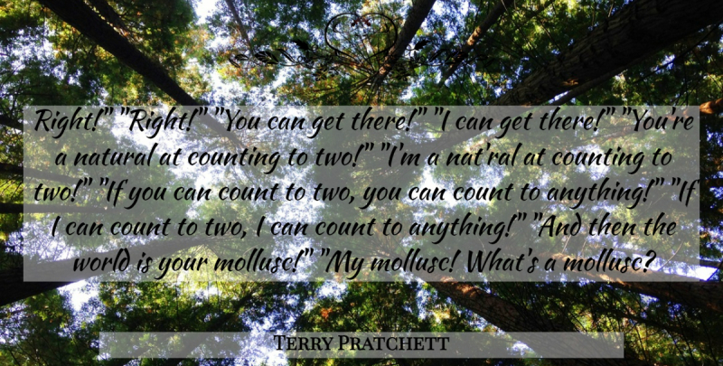 Terry Pratchett Quote About Stupid, Two, World: Right Right You Can Get...