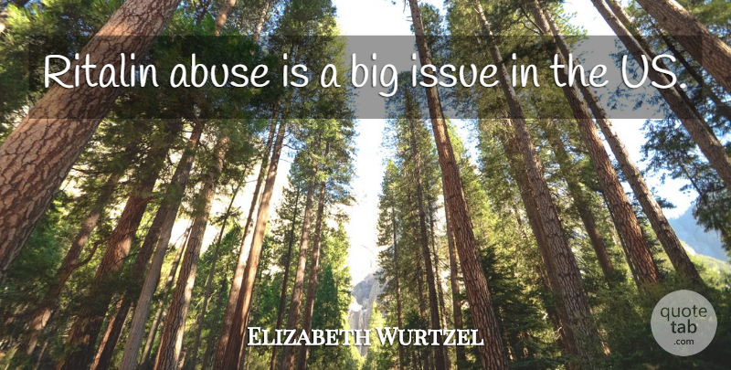 Elizabeth Wurtzel Quote About Issues, Abuse, Ritalin: Ritalin Abuse Is A Big...