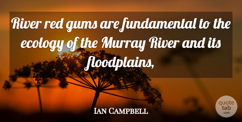 Ian Campbell Quote About Ecology, Red, River: River Red Gums Are Fundamental...