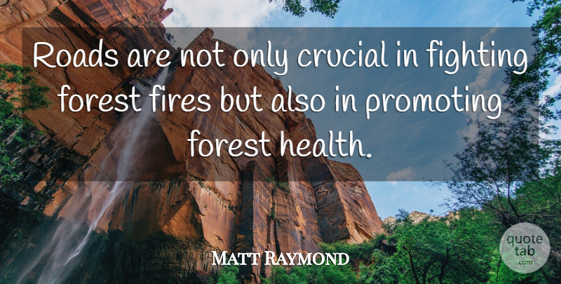 Matt Raymond Quote About Crucial, Fighting, Fires, Forest, Promoting: Roads Are Not Only Crucial...